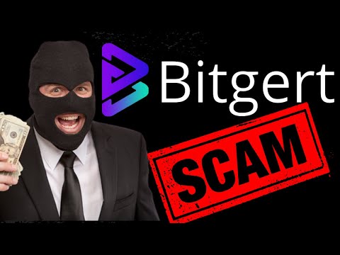 Bitgert $BRISE is a Scam PERIOD - 5 Reasons Bitgert is a Scam!