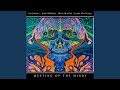 Parallax (feat. John Medeski, Billy Martin & Jason Fraticelli) (R.E. Thuggz Mix)