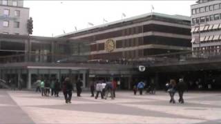 Every Grain of Sand -Jenny Walström