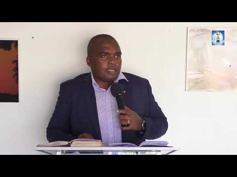 Prophetic dream about the Falcon & the Lion