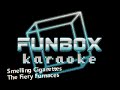 The Fiery Furnaces - Smelling Cigarettes (Funbox Karaoke, 2005)