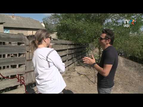 Identitate Basarabia   Alex Calancea