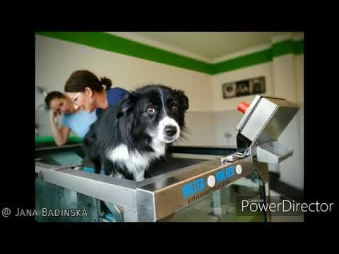 15. 11. 2019 - Hydroterapie