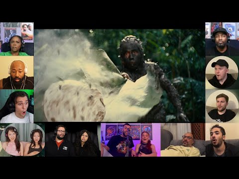 Wasp nest attack - Apocalypto (2006) - Reaction Mashup