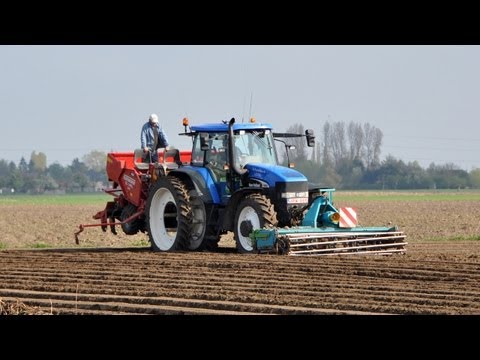 New Holland TM190 & Grimme - Loonw. Van Bruwaene - aardappelen planten