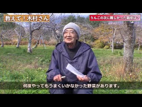 リンゴが木の上で腐るのはなぜですか?リンゴの木を守るにはどうすればよいですか?  庭園