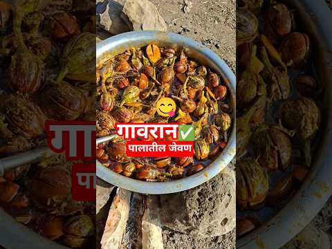 अस्सल घरगुती चुलीवरच जेवण बैल बाजार आठवडी 🤣🤣