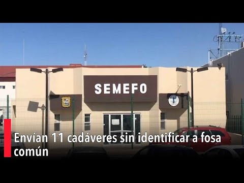 Envían 11 cadáveres sin identificar a fosa común