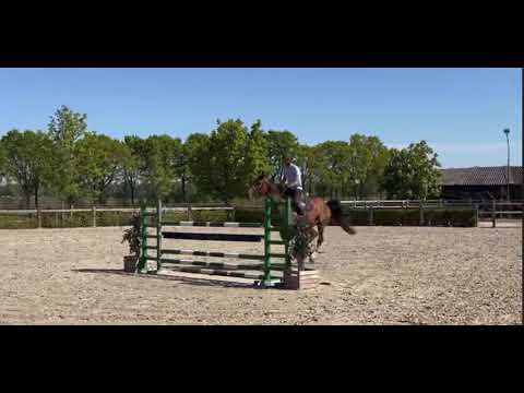 Luis Z video 1