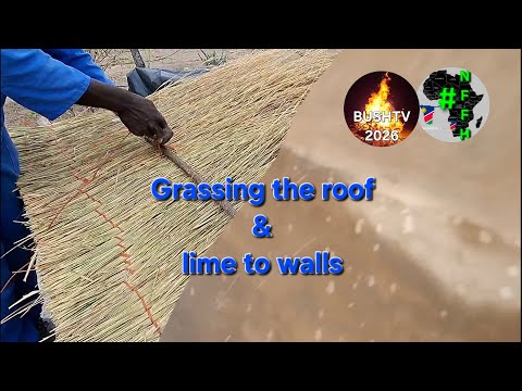 Roof Grass and Lime Application for Sustainable Walls