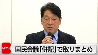 国民会議が中間とりまとめ決定　食料品の消費税減税は与野党両案を併記
