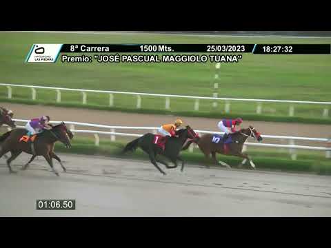 230325 c08 - EL VIGIA  - HIPODROMO LAS PIEDRAS - PREFERENCIAL "JOSÉ PASCUAL MAGGIOLO TUANA"