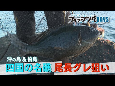 【フィッシングDAYS】#117 沖の島&柏島 北村憲一が四国の名礁 尾長グレ狙い