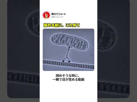 諦める前に、これ見て