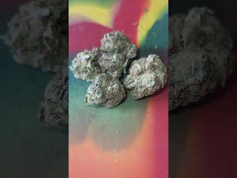 Cherry Slurpee Strain