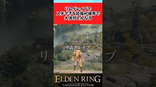 【ELDEN RING】リムグレイブの装備が優秀で大体なんとなるに関するのみんなの反応集 #shorts