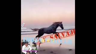 Bronco Dile no a las drogas canción para ti