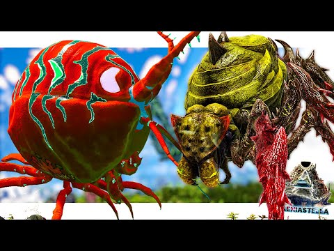 Ladybug vs Broodmother: Who Will Win the Ultimate Bug Battle? - Monarky S4 EP37