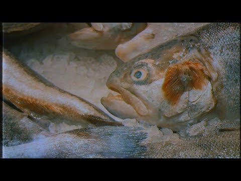 #tortu_aka_oddm X #devak24 // Miran para arriba (videoclip oficial)