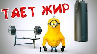 Пародия Тает жир! Пародия тает лёд. Миньоны. Гадкия я 3.