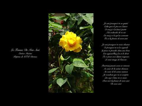 La Femme De Mon Ami.