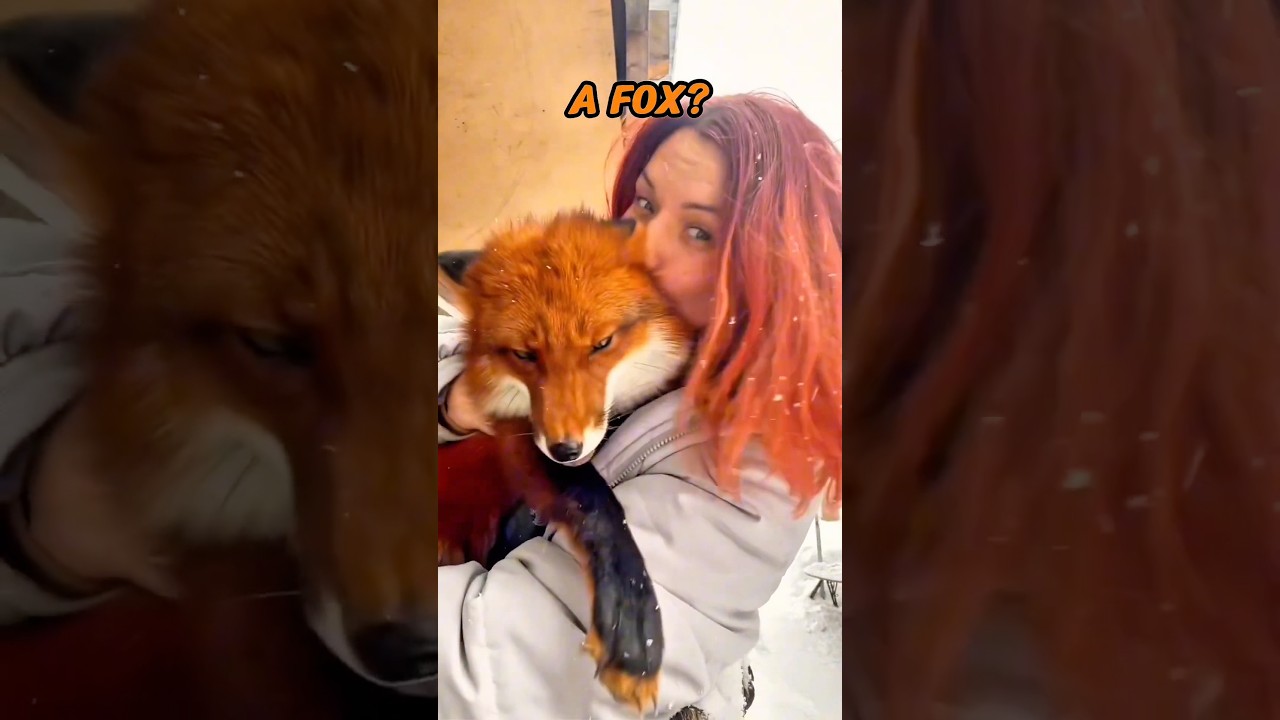 That wasn’t smart from this guy 🤣 #shorts