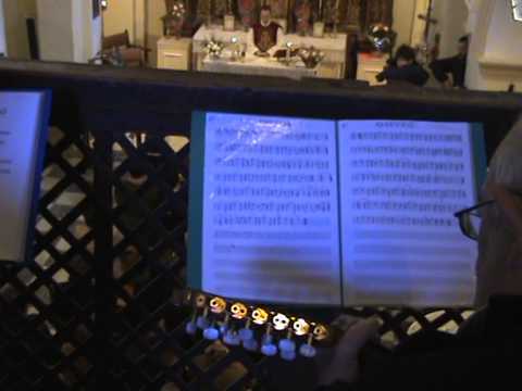 villalba de perejil 2014