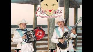 Los Pumas De Huetamo Michoacan- Trampa Tendida