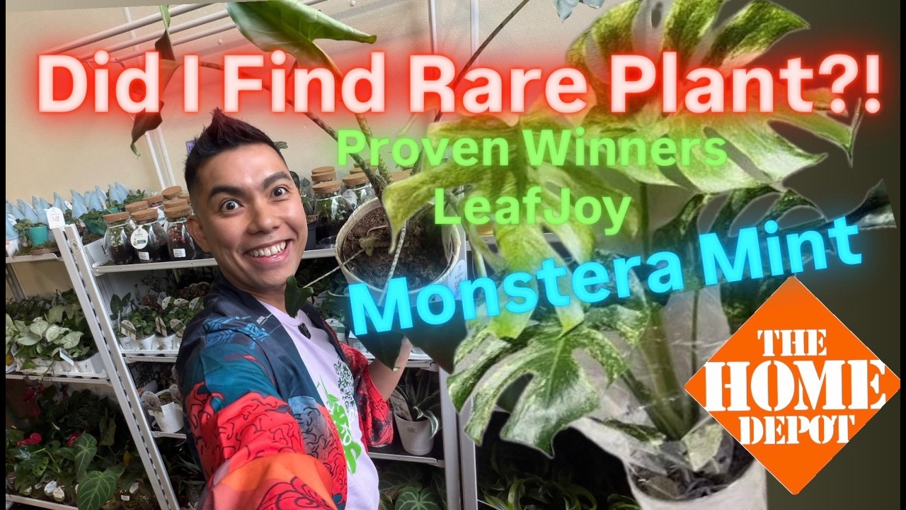 Did I FIND RARE Plants at Home Depot!? 😱 Finding the Leafjoy Monstera Mint? (Big Box Plant Haul)