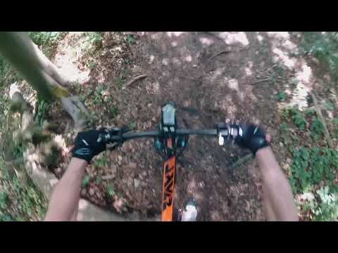 2019-05-25 Anninger w/o Albert