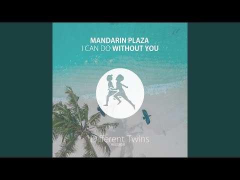 I Can Do Without You