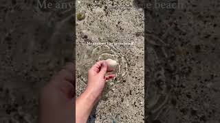 Anyone else like this with seashells? #mermaid #seashells #shells #ocean #underwater #mermaids