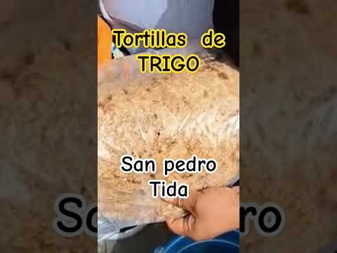 las tortillas de San Pedro Tidaa #mexico #turismo #viral #shorts #viajes #oaxaca #aventura #comida