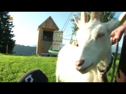 Mit der Geiss rund um Gais