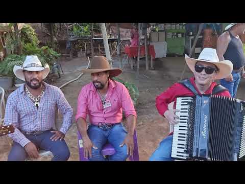 BARQUINHA DE OURO- NILLO ROCHA; IRMÃOS CIGANOS E VALDO EVAEL