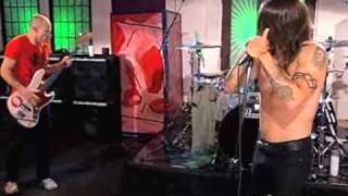 Red Hot Chili Peppers Tell Me Baby AOL Sessions 2006