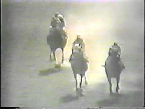 1955 Whitney Handicap