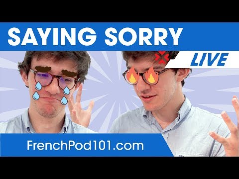 How to Say Sorry in French - Basic French Phrases