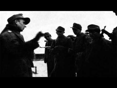 Proviđenje - Waffen SS