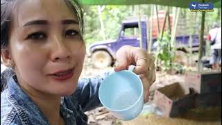 Download lagu Pulang ke kampung istri dayak ikut tradisi ngasi makan leluhur ! Video dari Bobby Faraby Magic mp3