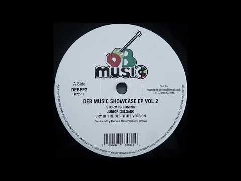 JUNIOR DELGADO - Storm Is Coming [1979]