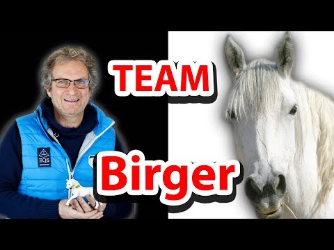► BIRGER is back! Mustang Makeover 2018