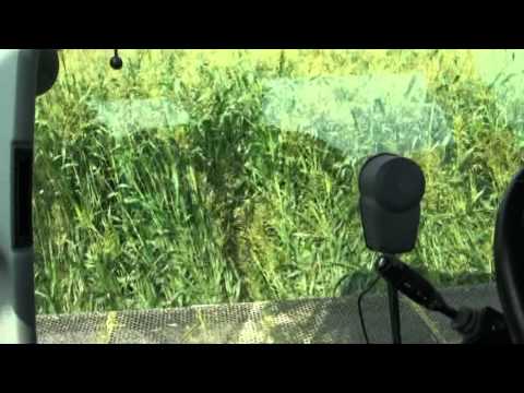 DOMINONI MPD 610 CLAAS 950 SORGO 4