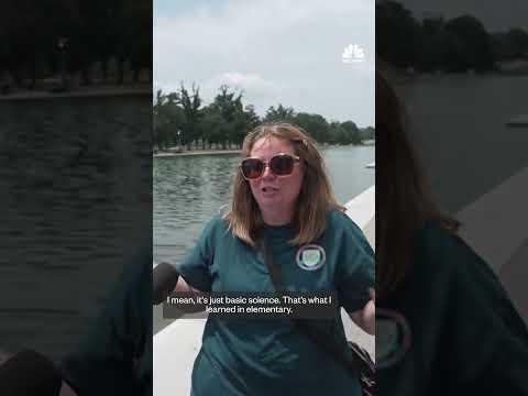 Visitors react to algae and peeling paint at Reflecting Pool