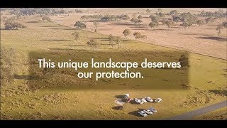 NSW Tablelands, this unique landscape deserves our protection