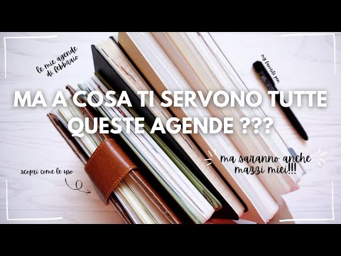 My complete 2025 diary collection and how I used them in February! | Creativemme