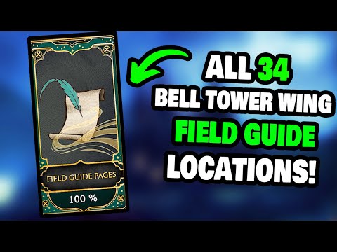 All 34 Field Guide Page Locations in The Bell Tower Wing in Hogwarts Legacy! (STEP-BY-STEP)