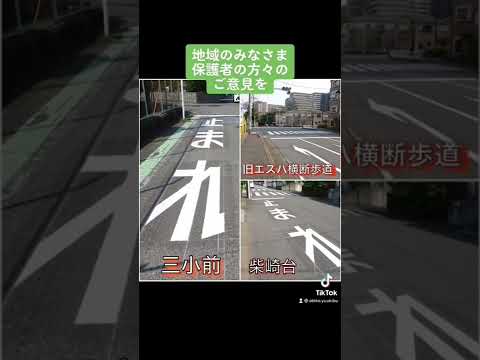 国際関係学科 交通安全の確保　#shorts #千葉県 #千葉県議会議員 #我孫子 #水野ゆうき　#交通安全