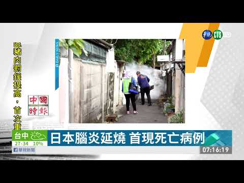 日本腦炎延燒 首現死亡病例
