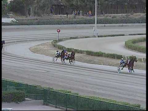 1^ PROVA DI QUALIFICA   del 18 GIUGNO 2016  Mt.1600 (2 Anni)